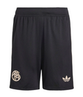 Pantaloncini Bayern de Múnich Third 25/26