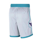 NBA Charlotte Hornets 25/26