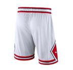 NBA Chicago Bulls 25/26