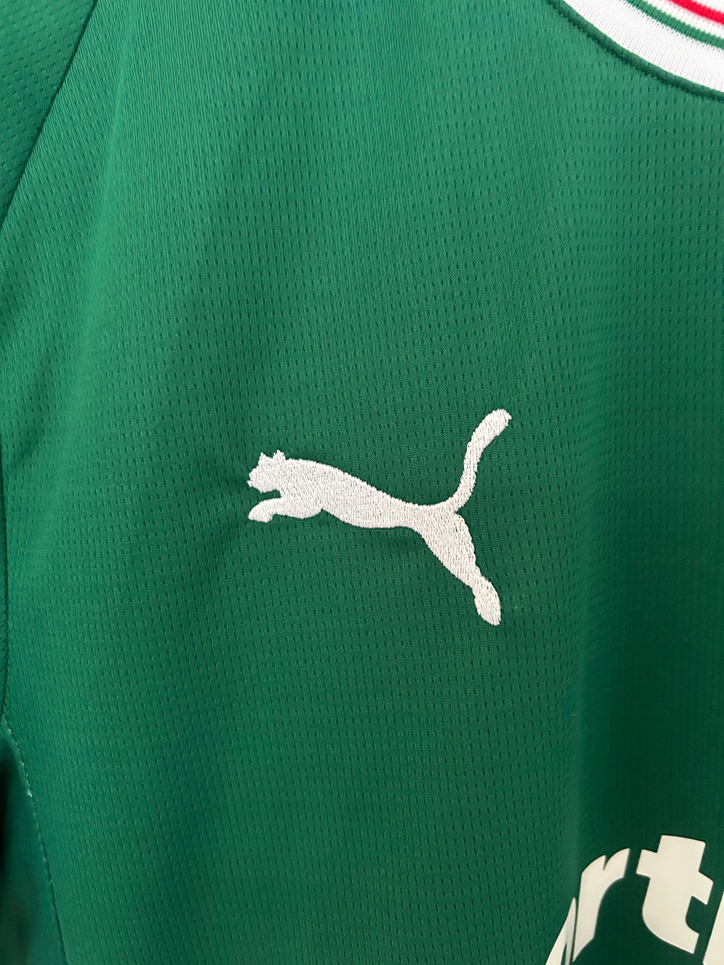 Maglia Palmeiras Home 26/27